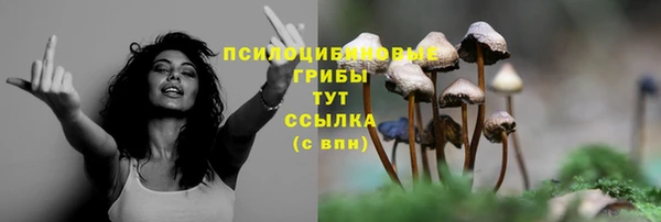 мет Каменск-Шахтинский