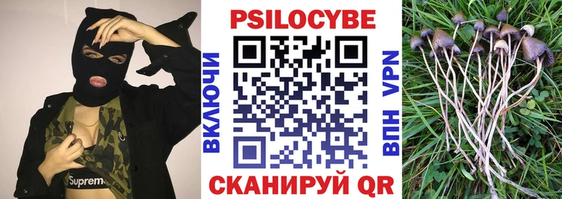 Купить  Благодарный  Галлюциногенные грибы Psilocybe 