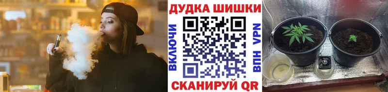 Купить  Благодарный  Бошки марихуана семена 
